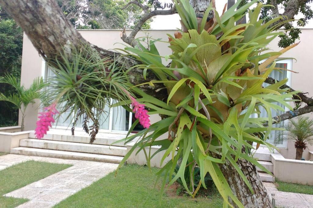 Vila Buzios Requinte & Sofisticacao Exteriér fotografie